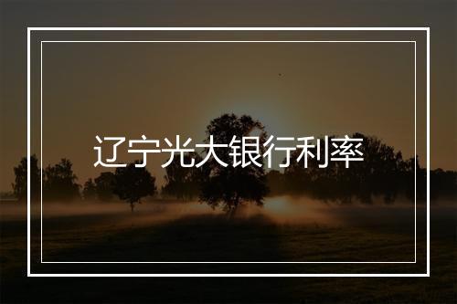 辽宁光大银行利率