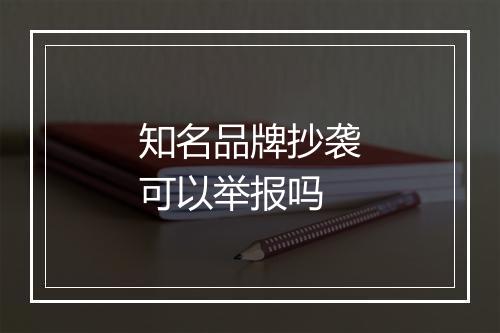 知名品牌抄袭可以举报吗