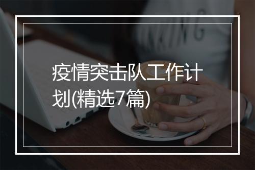 疫情突击队工作计划(精选7篇)