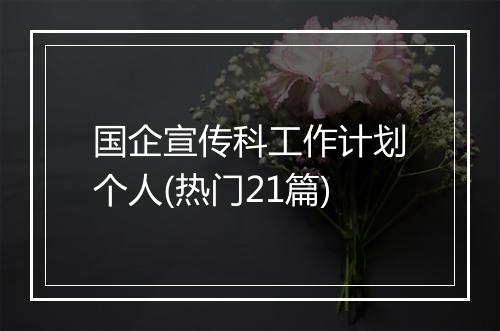 国企宣传科工作计划个人(热门21篇)