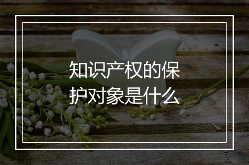 知识产权的保护对象是什么