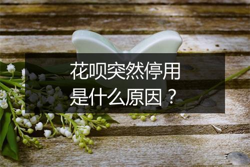 花呗突然停用是什么原因？