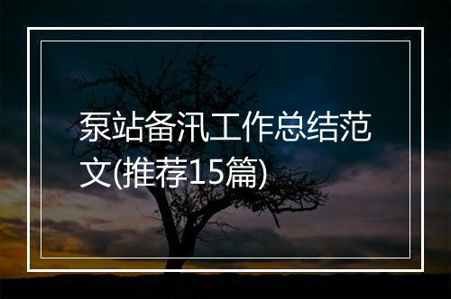 泵站备汛工作总结范文(推荐15篇)