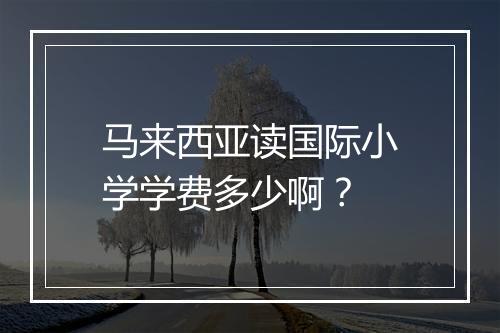 马来西亚读国际小学学费多少啊？