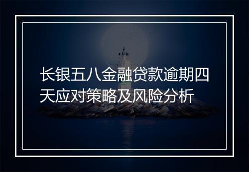 长银五八金融贷款逾期四天应对策略及风险分析