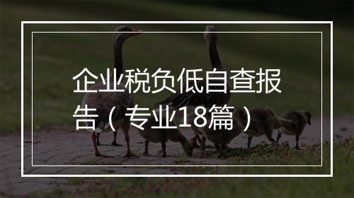 企业税负低自查报告（专业18篇）