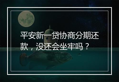 平安新一贷协商分期还款，没还会坐牢吗？