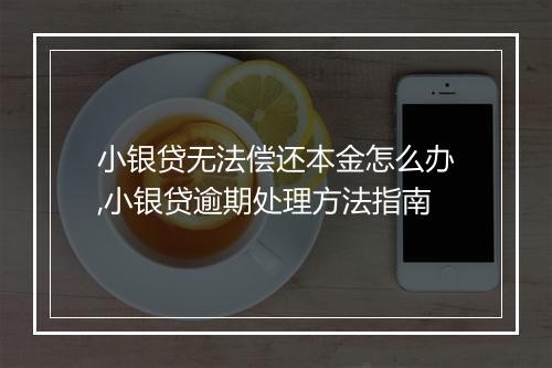 小银贷无法偿还本金怎么办,小银贷逾期处理方法指南