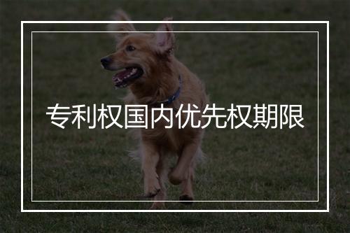 专利权国内优先权期限
