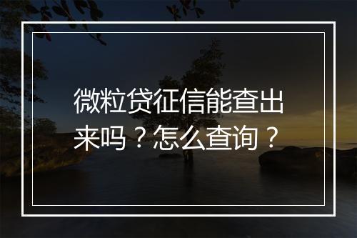 微粒贷征信能查出来吗？怎么查询？