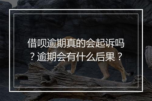 借呗逾期真的会起诉吗？逾期会有什么后果？