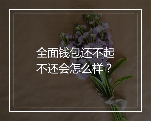 全面钱包还不起不还会怎么样？