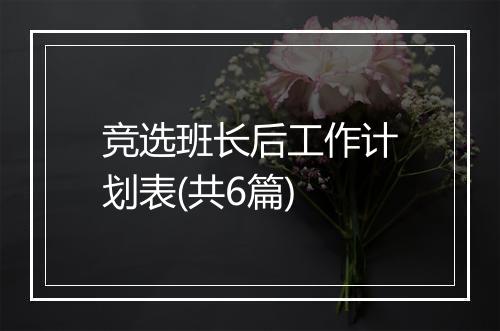 竞选班长后工作计划表(共6篇)