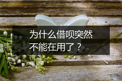 为什么借呗突然不能在用了？