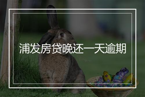 浦发房贷晚还一天逾期
