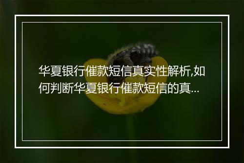 华夏银行催款短信真实性解析,如何判断华夏银行催款短信的真伪