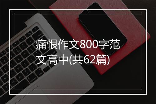 痛恨作文800字范文高中(共62篇)