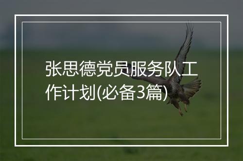 张思德党员服务队工作计划(必备3篇)