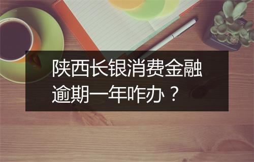 陕西长银消费金融逾期一年咋办？