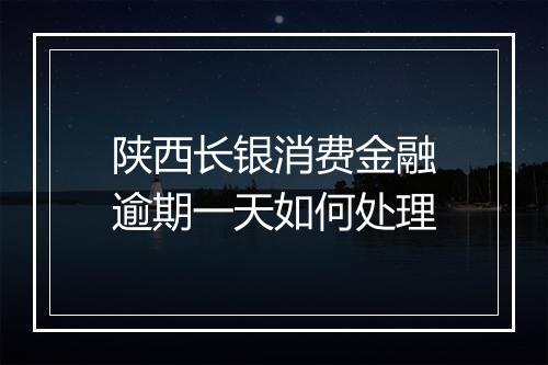 陕西长银消费金融逾期一天如何处理