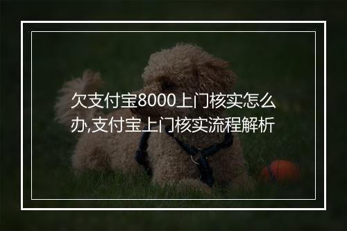 欠支付宝8000上门核实怎么办,支付宝上门核实流程解析