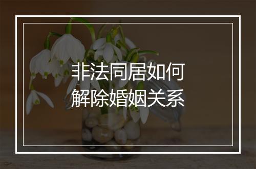 非法同居如何解除婚姻关系
