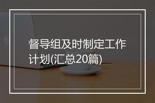 督导组及时制定工作计划(汇总20篇)