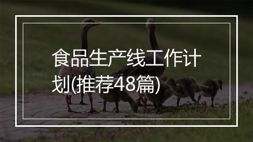 食品生产线工作计划(推荐48篇)