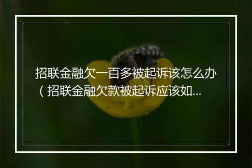 招联金融欠一百多被起诉该怎么办（招联金融欠款被起诉应该如何应对）