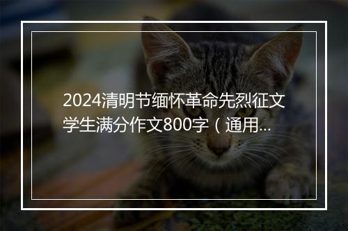 2024清明节缅怀革命先烈征文学生满分作文800字（通用35篇）