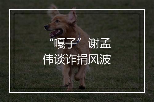 “嘎子”谢孟伟谈诈捐风波