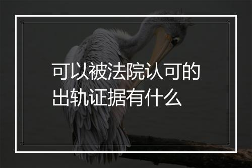 可以被法院认可的出轨证据有什么