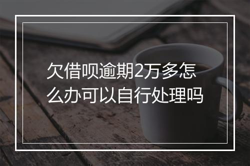 欠借呗逾期2万多怎么办可以自行处理吗