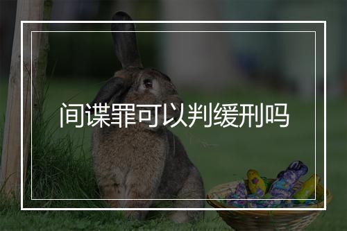 间谍罪可以判缓刑吗