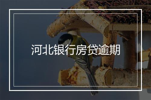 河北银行房贷逾期