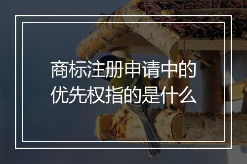 商标注册申请中的优先权指的是什么