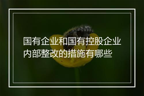 国有企业和国有控股企业内部整改的措施有哪些