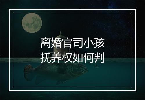 离婚官司小孩抚养权如何判