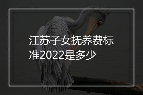 江苏子女抚养费标准2022是多少