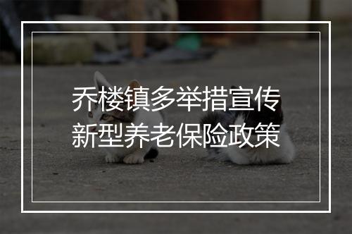 乔楼镇多举措宣传新型养老保险政策