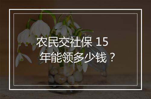 农民交社保 15 年能领多少钱？
