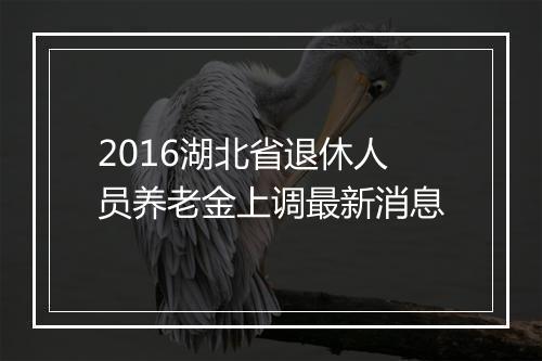 2016湖北省退休人员养老金上调最新消息