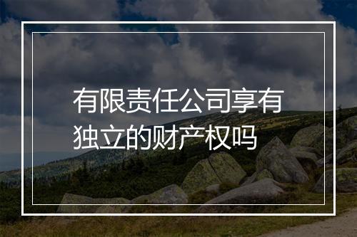 有限责任公司享有独立的财产权吗