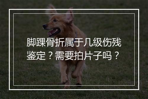 脚踝骨折属于几级伤残鉴定？需要拍片子吗？