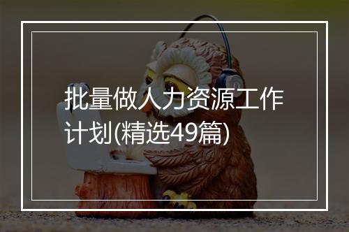 批量做人力资源工作计划(精选49篇)