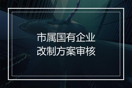 市属国有企业改制方案审核
