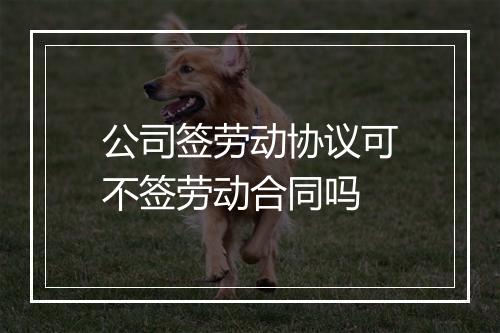 公司签劳动协议可不签劳动合同吗