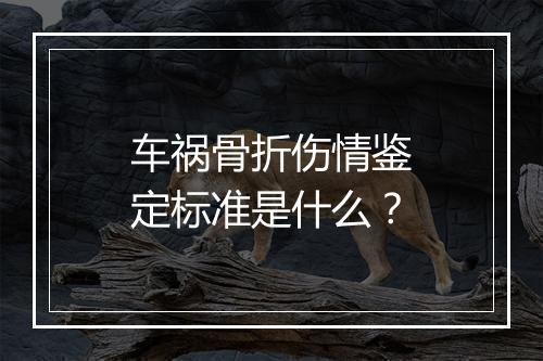 车祸骨折伤情鉴定标准是什么？