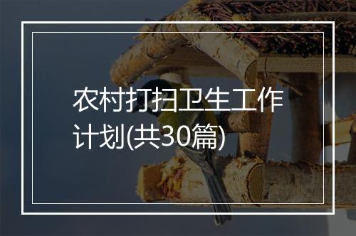 农村打扫卫生工作计划(共30篇)