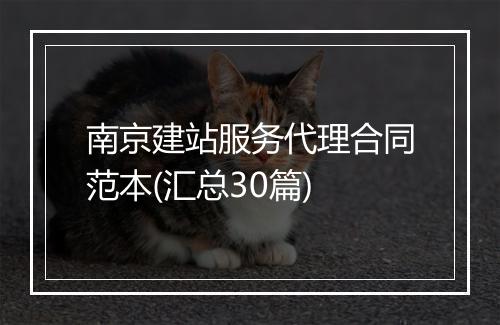 南京建站服务代理合同范本(汇总30篇)